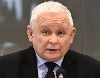 Miniatura: Jarosław Kaczyński odpowiedział na słowa...