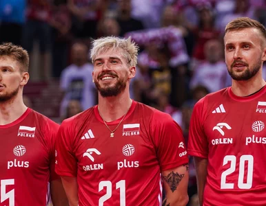 Miniatura: Reprezentant Polski zostaje w PlusLidze!...