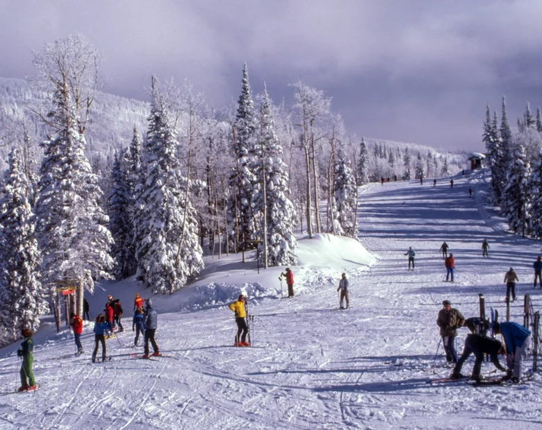 Miniatura: Trudny QUIZ na śnieżny, zimowy wieczór....