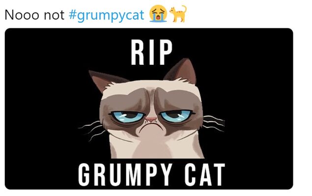 Miniatura: Grympy Cat nie żyje - pożegnalne memy