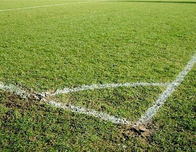 Miniatura: Lech rozgromił Widzew. Cztery gole w...