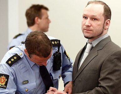 Miniatura: Proces Breivika: szczegółowa analiza...