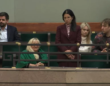 Miniatura: Nowy członek komisji ds. pedofilii. Sejm...