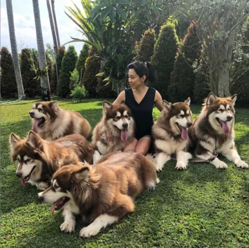 Właścicielka ze swoimi psami 