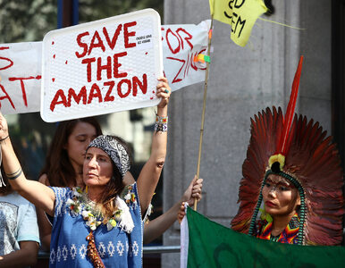 Miniatura: Politycy żerują na płonącej Amazonii