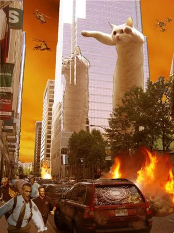 Kot najbardziej memicznym ze zwierząt? 