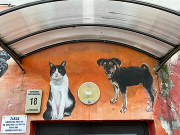 Kolorowe podw&oacute;rka we&nbsp;Wrocławiu