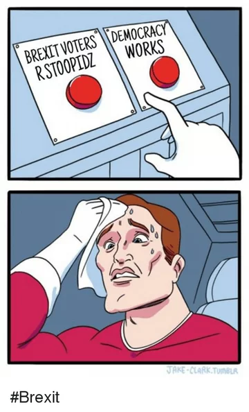 Głosujący za brexitem to durnie/Demokracja działa 