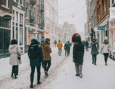 Miniatura: „Wirusy bardzo dobrze czują się w niskich...