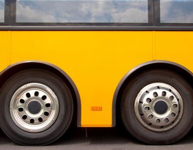 Miniatura: Zderzenie autobusu z samochodem osobowym....