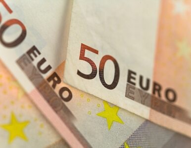 Miniatura: "Najpierw rozpad strefy euro - potem...