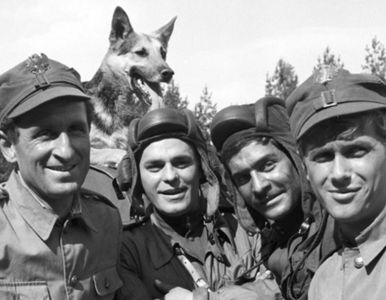 Miniatura: QUIZ. Jak dobrze znasz serial „Czterej...