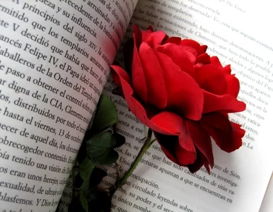 Miniatura: Święty Jerzy, książka i róża