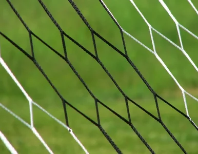 Miniatura: Gwiazda porno nagrała piosenkę dla...