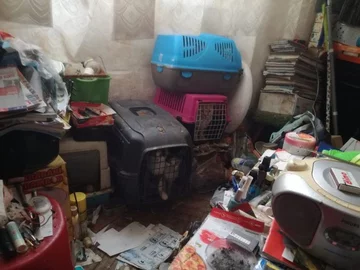 Koty przetrzymywane przez wrocławianina 