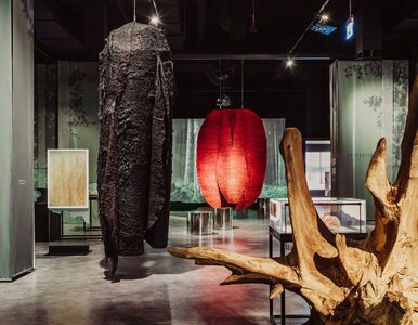 Miniatura: Zobacz wystawy, które poruszają serce i...