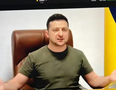 Miniatura: Zachowanie dwóch amerykańskich senatorów...