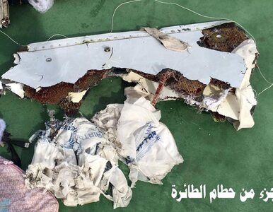 Miniatura: Katastrofa egipskiego samolotu....