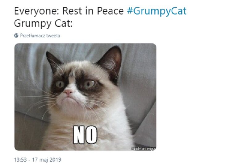 Wszyscy: Spoczywaj w pokoju. Grumpy Cat: nie 