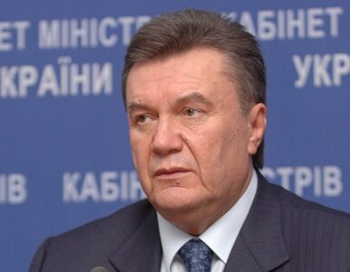 Miniatura: "Janukowycz rządzi, żywność drożeje"