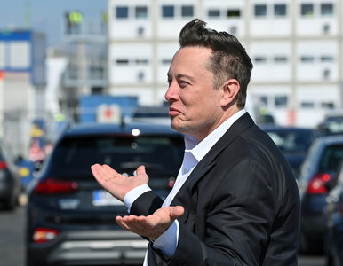 Miniatura: Elon Musk ma dość bycia technokrólem...