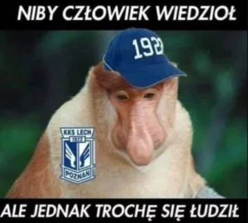 Mem po meczu Lecha Poznań ze Standardem Liege 