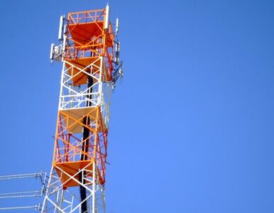Miniatura: Potentat telekomunikacyjny ponosi straty....