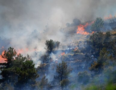 Miniatura: Jeden papieros wystarczył. Kobieta...