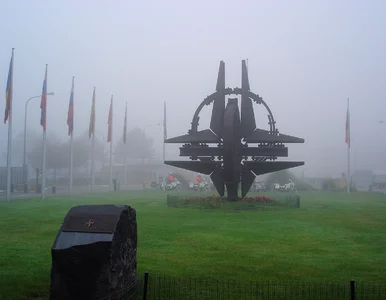 Miniatura: NATO: Sojusz będzie bronić każdego...
