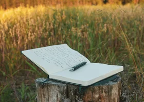 Miniatura: Trudny QUIZ ortograficzny. Na ile pytań...