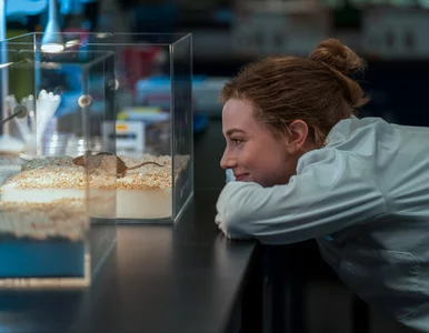 Miniatura: Nowy film Prime Video w dobę numerem 1. To...