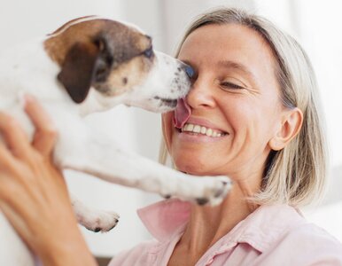 Miniatura: Kochasz swojego psa jak dziecko? Jest na...