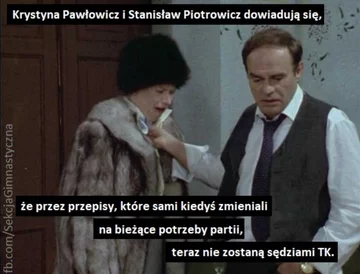 Mem komentujący przepisy dot. nominacji do TK 