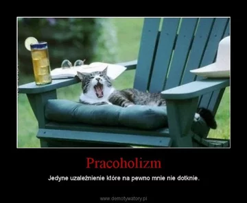 Praca, praca i jeszcze raz praca. Internauci tworzą MEMY 