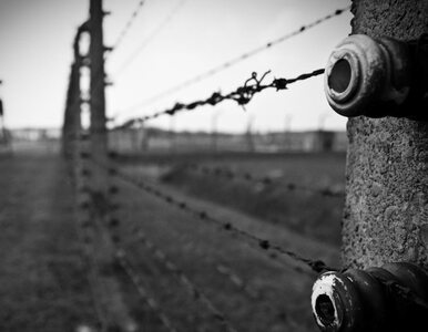 Miniatura: Oświęcim i Muzeum Auschwitz połączy most