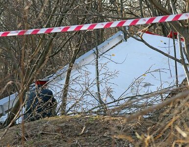 Miniatura: "Rosja odpowie na wszystkie pytania Polski...