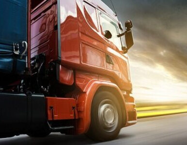 Miniatura: Polscy kierowcy ciężarówek mają dość –...