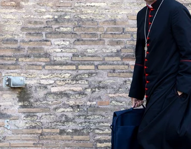 Miniatura: Konserwatyści chcą wpłynąć na wynik...