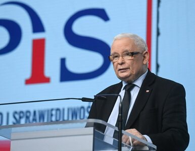 Miniatura: Kaczyński reaguje na doniesienia o „tajnym...