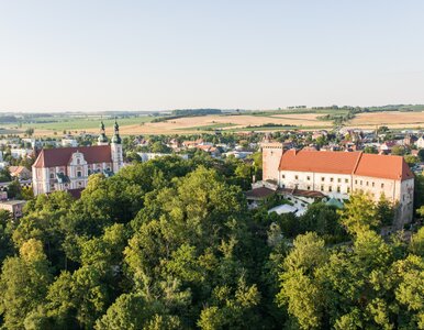 Miniatura: Czesi doceniają nie tylko Kraków. „Wzrost...