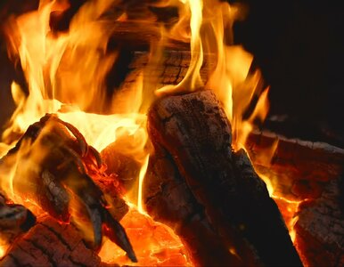 Miniatura: Stare kominki na cenzurowanym. Sprawdź,...