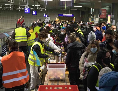 Miniatura: Wojna na Ukrainie. Niemcy zaoferowali...