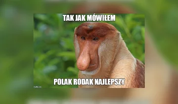 Kamil Stoch wygrywa w Pucharze Świata. Memy 