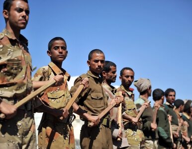 Miniatura: Jemen: odwrót Al-Kaidy
