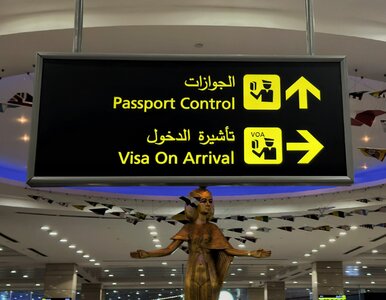 Miniatura: Rewolucja na lotniskach w Egipcie. Na to...