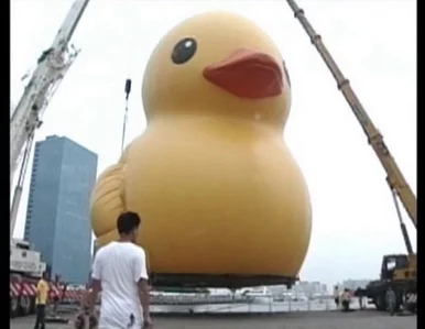 Miniatura: Tajwan: nadchodzi tajfun, więc... spuścili...