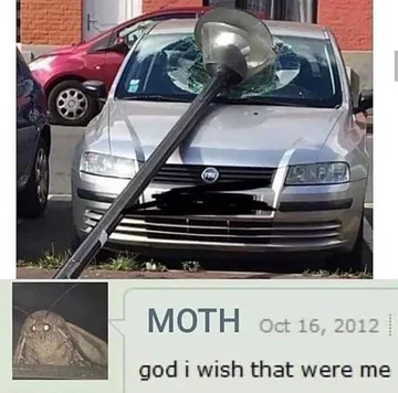 Mem z ćmą 