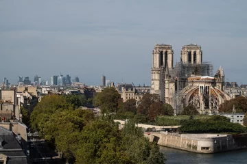 Katedra Notre Dame 