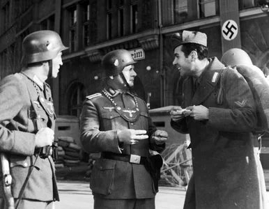 Miniatura: Kiedy trafiasz do kraju, w którym nic nie...