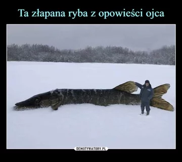 Mem o wędkarstwie Mem o wędkarstwie i rybach